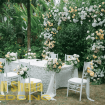 Akad Decoration Bali