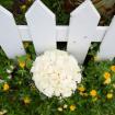 white Bridal bouquet blue heaven 
