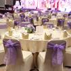 Gold and purple theme color 