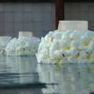 floating flower on the pool 