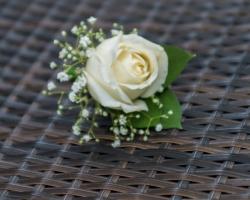 groom`s corsage