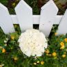 white Bridal bouquet blue heaven 