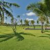 Kaba Kaba Estate Expansive Garden Ground