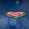 Love singn villa jerami 