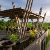 Villa Mandalay Pool Bale with Paddy field views