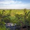 Villa Mana Landscape Canggu