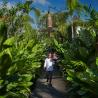 Goya garden path