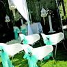 chairs option garden wedding 