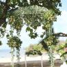 wedding pergola 
